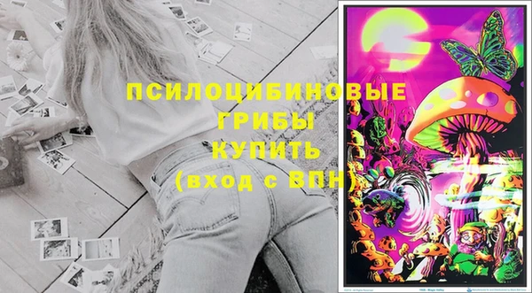 спиды Абдулино
