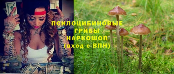крисы Алексин