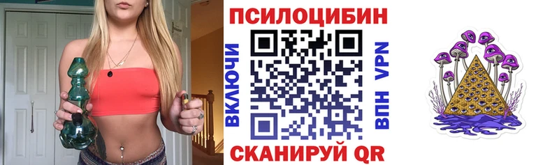 Галлюциногенные грибы Psilocybine cubensis kraken маркетплейс Новоалександровск дарк нет какой сайт хочу